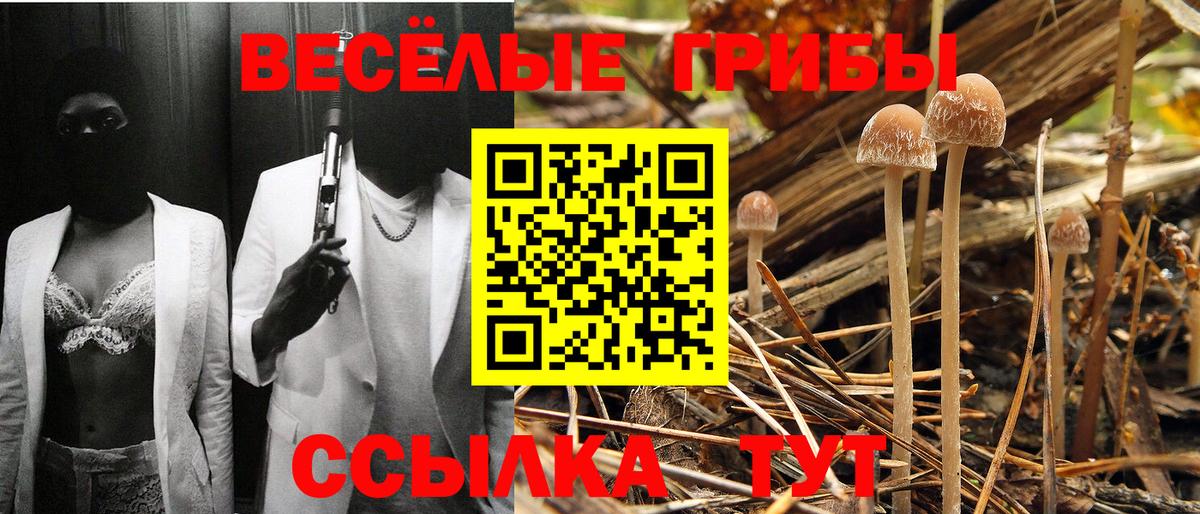 Моздок  Галлюциногенные грибы прущие грибы  Псилоцибиновые грибы прущие грибы  Вход с VPN 